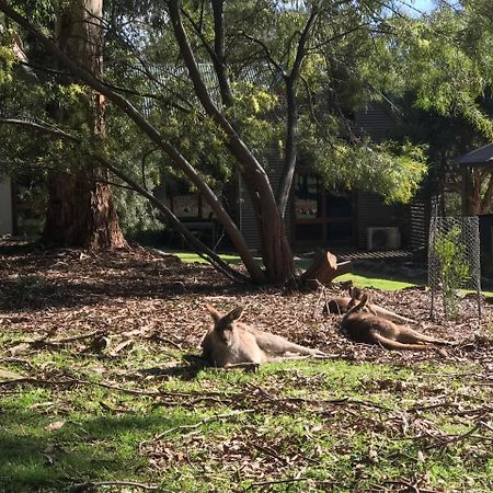 The Lodges Halls Gap Exterior photo